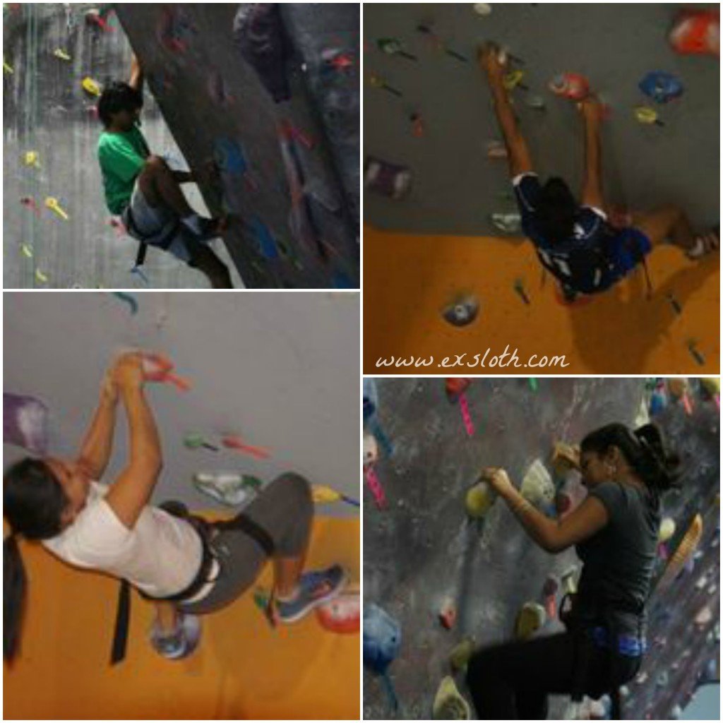 rock climbing collage