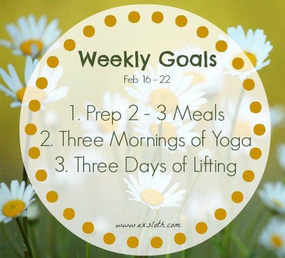 Weekly Goals Feb 16 - 22 | ExSloth.com