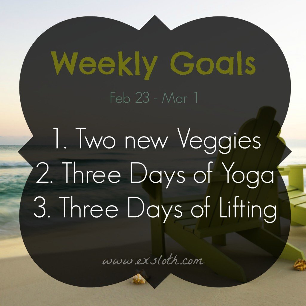 Goals Feb 23 - Mar 1