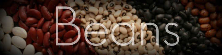 Beans: Dangers of Undercooked Beans | ExSloth.com