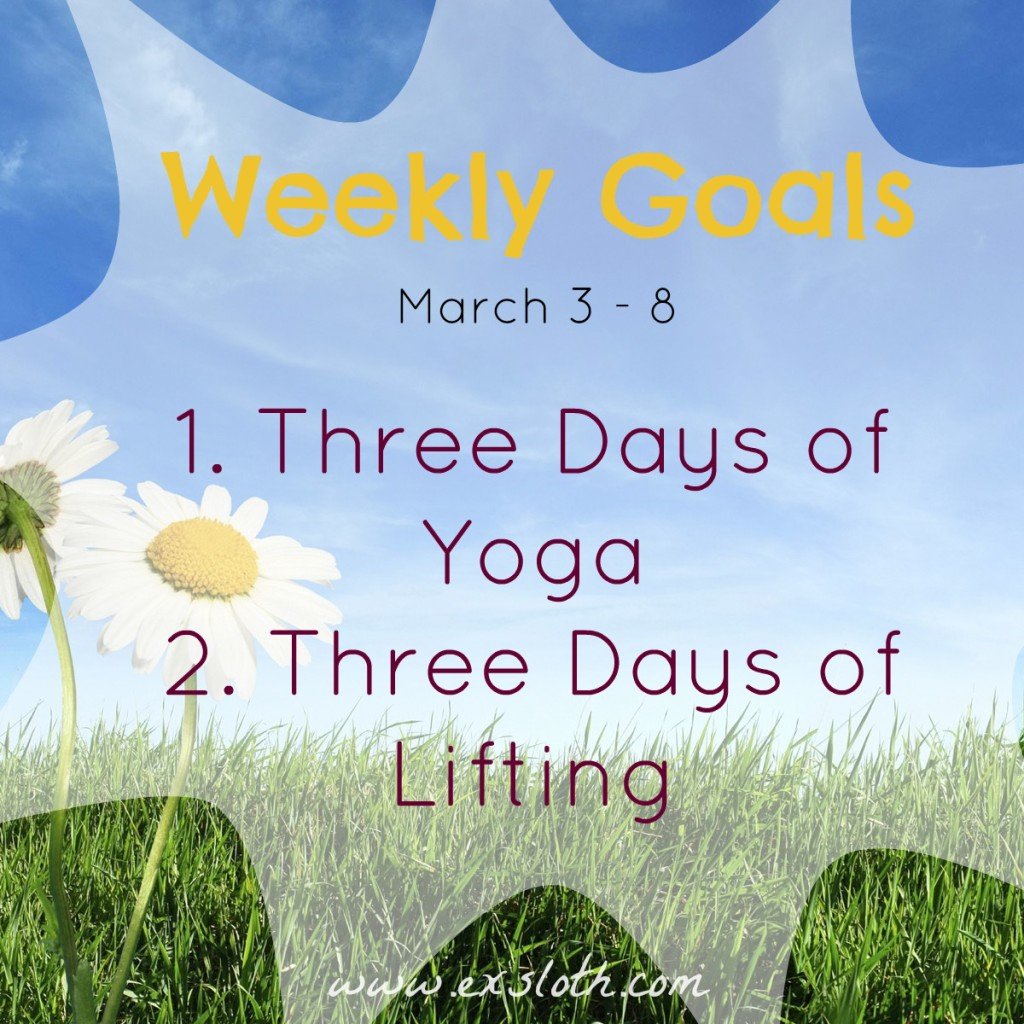 Goals Mar 3 - 8 | ExSloth.com