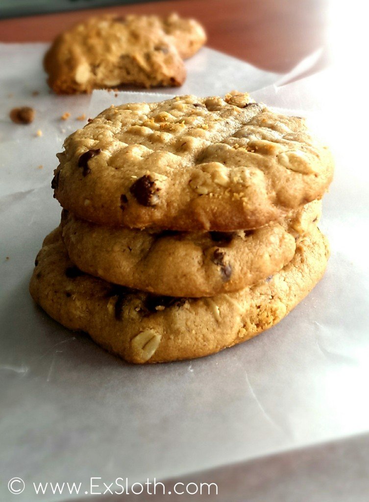 Dry Peanut Butter Cookier | ExSloth.com