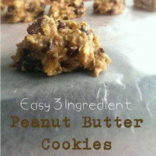 Quick & Easy 3 Ingredient Peanut Butter Cookies | @ExSloth