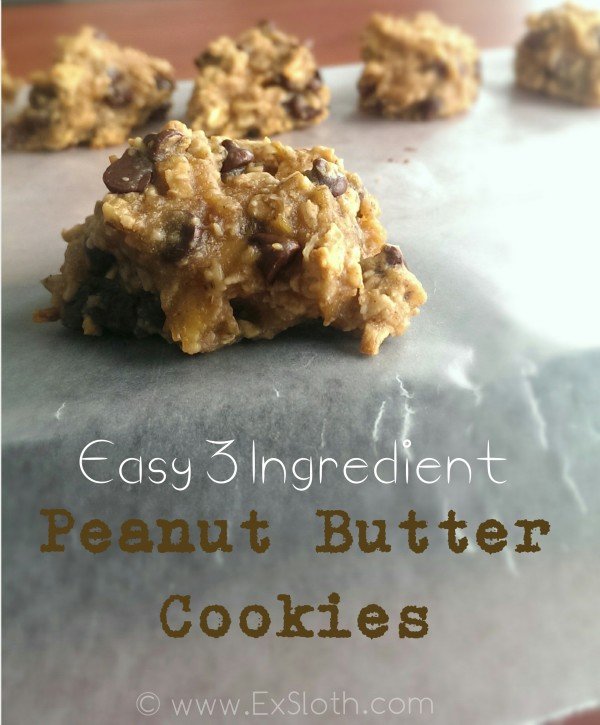 Quick & Easy 3 Ingredient Peanut Butter Cookies | @ExSloth