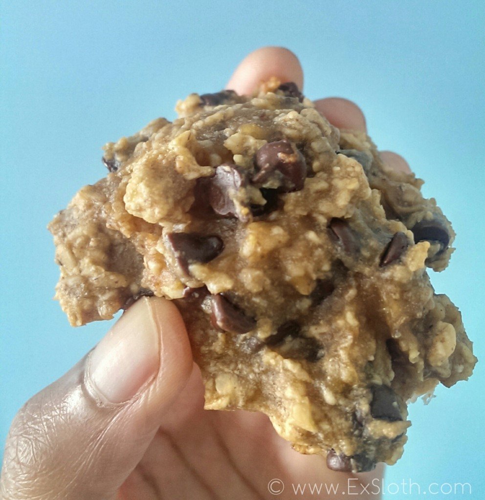 Peanut Butter Cookie closeup | ExSloth.com