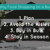healthy food shopping on a budget | ExSloth.com