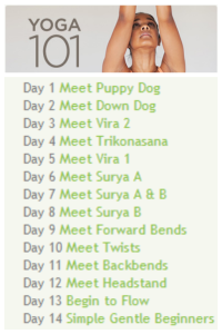 MyYogaWorks Yoga 101 | ExSloth.com