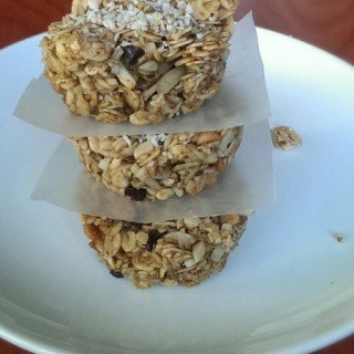 Coconut Granola Bites (Vegan, Gluten Free) | ExSloth.com