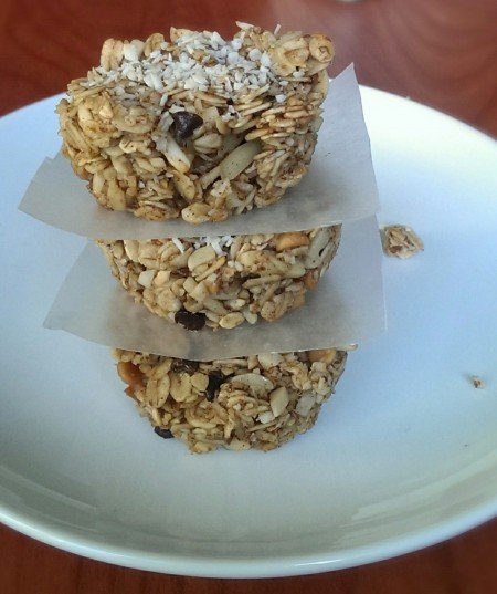 Coconut Granola Bites (Vegan, Gluten Free) | ExSloth.com