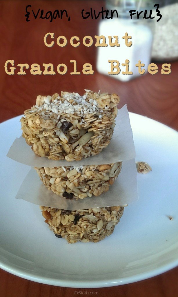 Coconut Granola Bites (Vegan, Gluten Free) | ExSloth.com