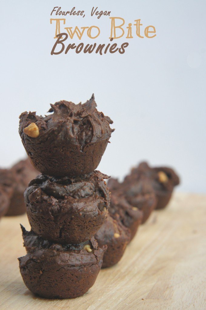 Flourless, Vegan Two Bite Brownies Recipe | @ExSloth