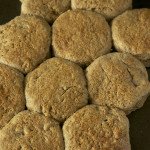 These Dairy-Free Maple "Buttermilk" Biscuits are soft and flaky with a hint of maple flavour- the perfect diary free twist to traditional buttermilk breakfast biscuits via @ExSloth | ExSloth.com