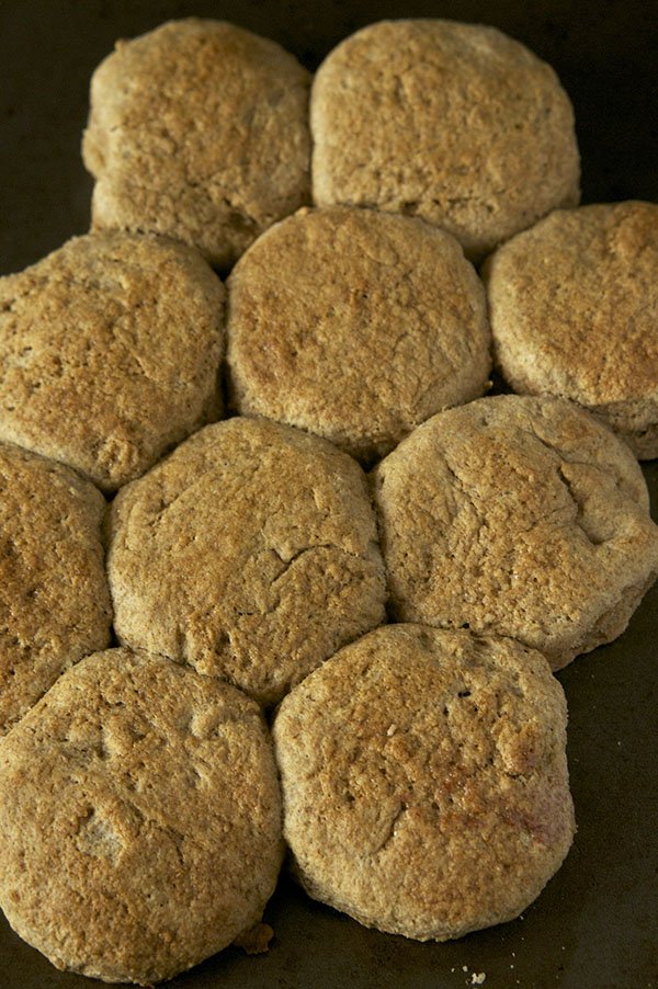 These Dairy-Free Maple "Buttermilk" Biscuits are soft and flaky with a hint of maple flavour- the perfect dairy free twist to traditional buttermilk breakfast biscuits via @ExSloth | ExSloth.com