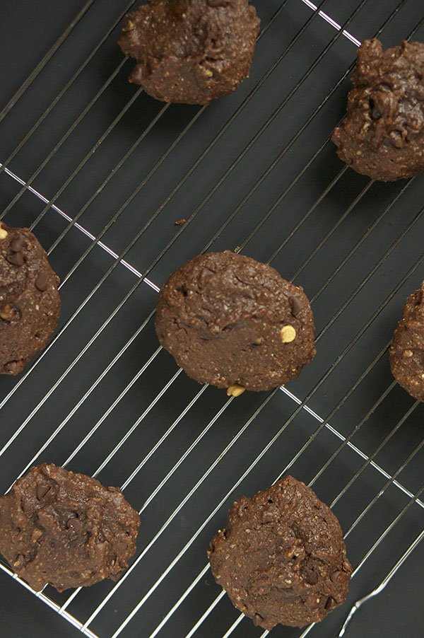 Recipe Bloopers: Double Chocolate Chip Cookies via @ExSloth | ExSloth.com
