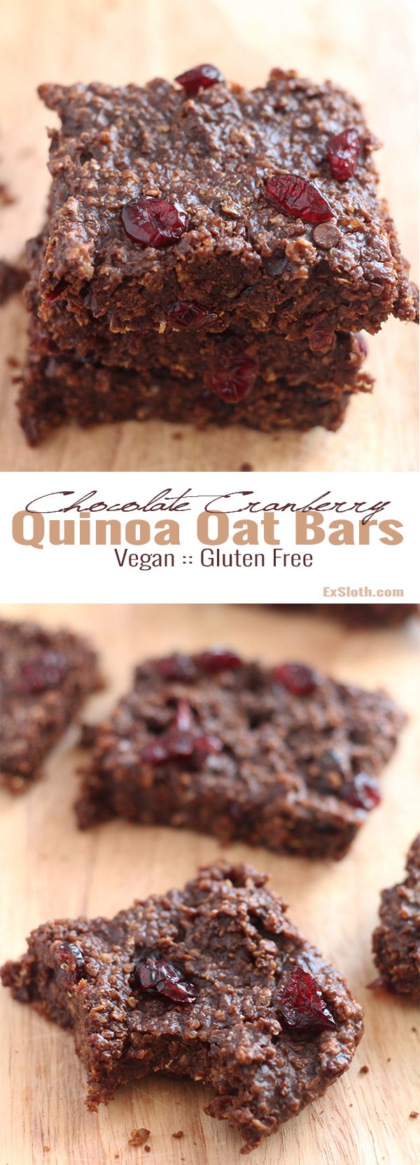 These chocolate cranberry quinoa oat bars are hearty, chewy, chocolatey, sweet, slightly tangy with a bit more protein and fibre than your usual oat bar. @ExSloth