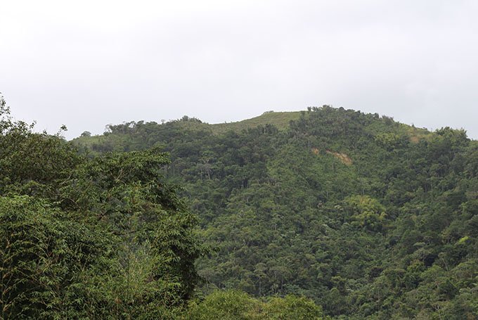 The view from my balcony at home