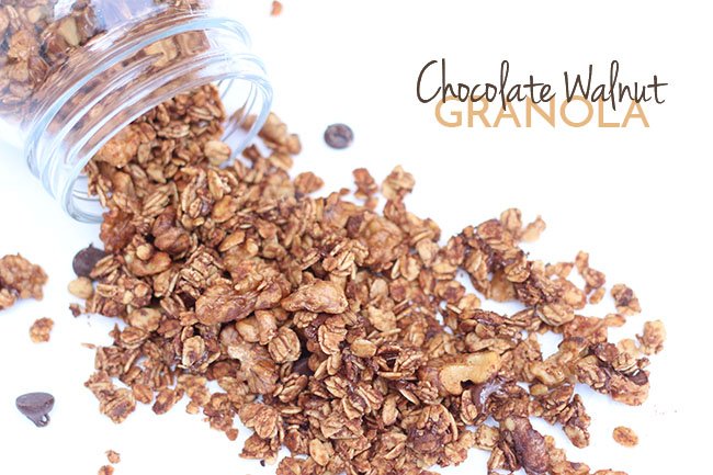This Chocolate Walnut Granola is easy to make, ready in under 30 minutes and full of delicious flavour. Plus, it's vegan, gluten free and refined sugar free via @ExSloth | ExSloth.com