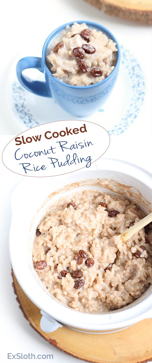 Vegan Slow-Cooked Coconut Raisin Rice Pudding via Ricardo Cuisine and @ExSloth | ExSloth.com