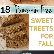 18 Pumpkin Free Dessert and Snack Recipes to enjoy this fall via @ExSloth | ExSloth.com
