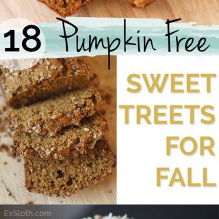 18 Pumpkin Free Dessert and Snack Recipes to enjoy this fall via @ExSloth | ExSloth.com