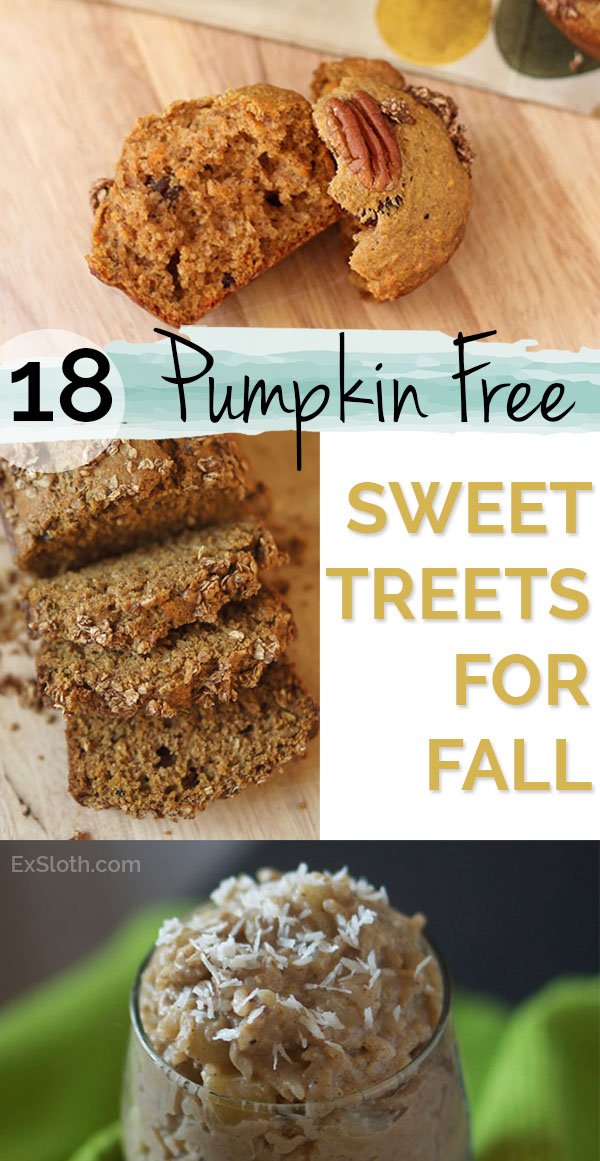 18 Pumpkin Free Dessert and Snack Recipes to enjoy this fall via @ExSloth | ExSloth.com