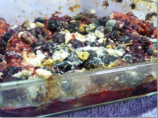 Vegan Berry Crisp via Masala Girl Travels