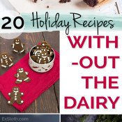 20 Healthy and Decadent Dairy Free Holiday Recipes via @ExSloth | ExSloth.com