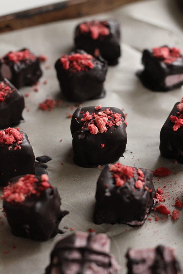 Chocolate Covered Cheesecake Bites + 4 vegan Valentine's Day Recipes via @ExSloth | ExSloth.com