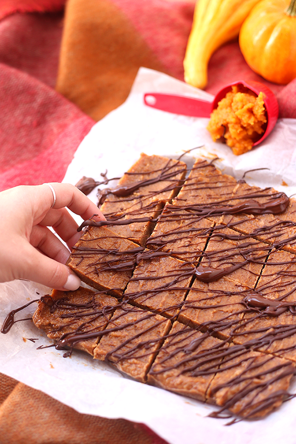 Pumpkin Spice Freezer Fudge 15 Vegan No Bake and Frozen Desserts that aren't Ice Cream via @ExSloth | ExSloth.com 