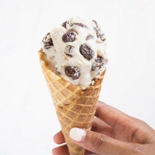 No Churn Homemade Vegan Rum Raisin Ice Cream (dairy-free, gluten-free, paleo) via @ExSloth | ExSloth.com