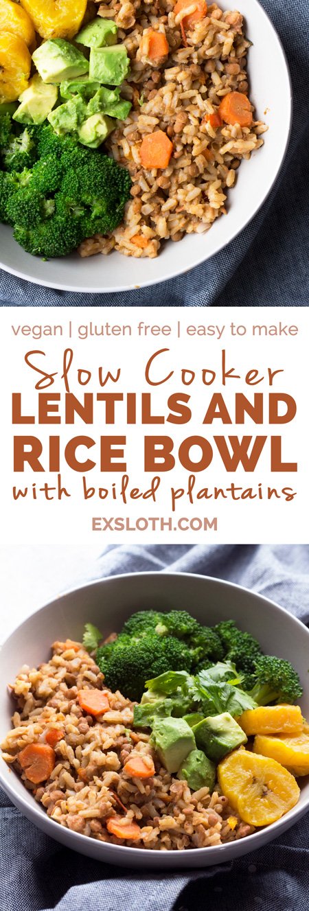 This Trini-style slow cooker lentil rice bowl is filled with Trinidad inspired plant-based flavours and makes the perfect healthy vegan buddha bowl for lunch or dinner | ExSloth.com
