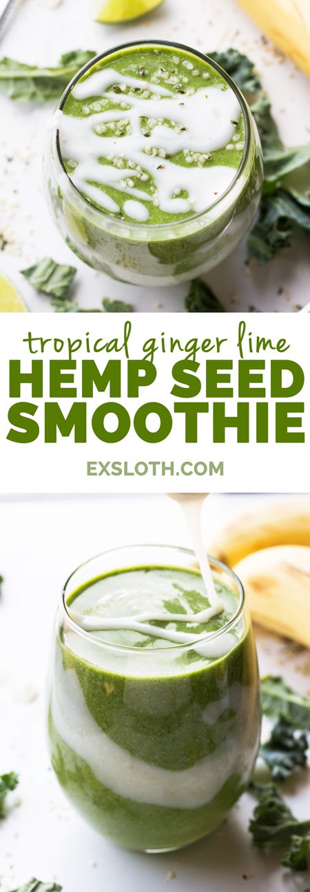 This tropical ginger hemp seed smoothie is easy to throw together, portable, delicious and it's filled with plant-based protein thanks to the hemp seeds | ExSloth.com