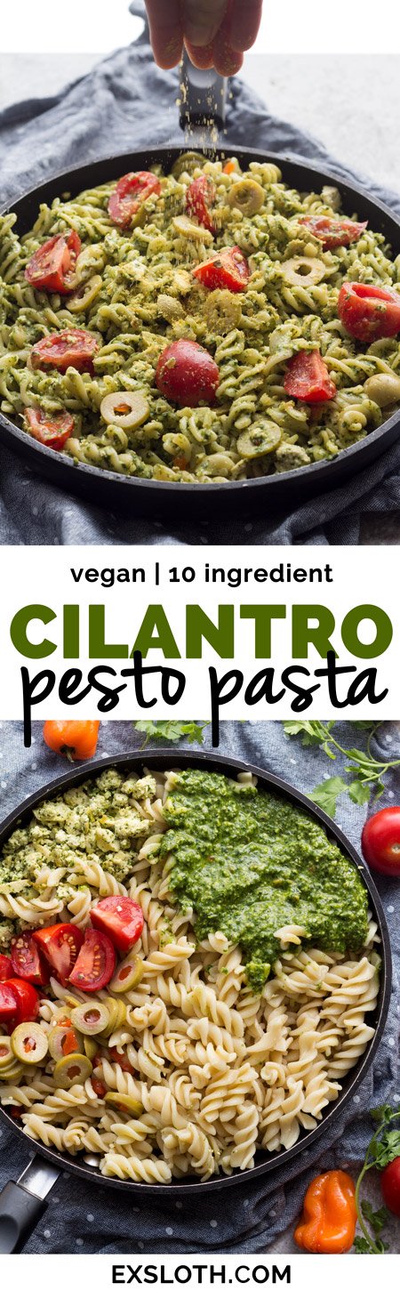 This easy vegan cilantro pesto pasta is flavourful, spicy, filling and calls for just 10 ingredients and about 25 minutes. Perfect vegan lunch or dinner | ExSloth.com