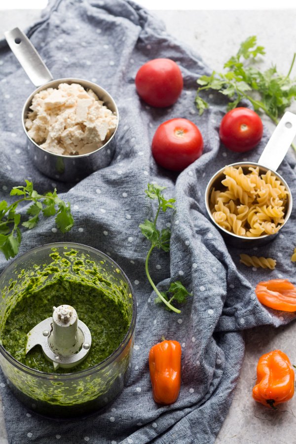 This easy vegan cilantro pesto pasta is flavourful, spicy, filling and calls for just 10 ingredients and about 25 minutes. Perfect vegan lunch or dinner | ExSloth.com